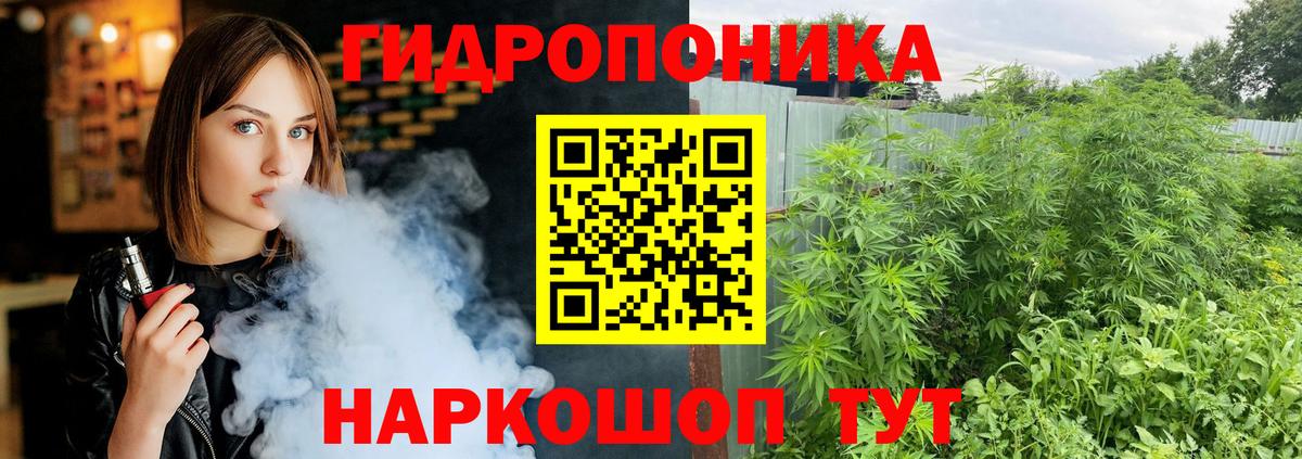 Конопля индика Коркино